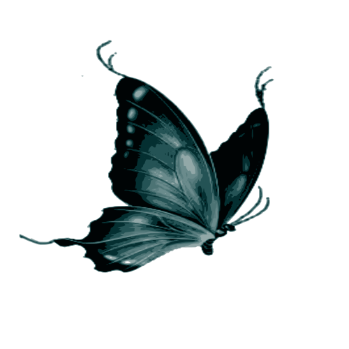 Papilionem veteranen uitvaartverzorging