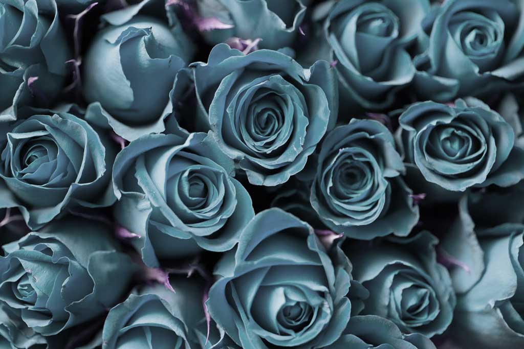 Papilionem veteranen uitvaartverzorging